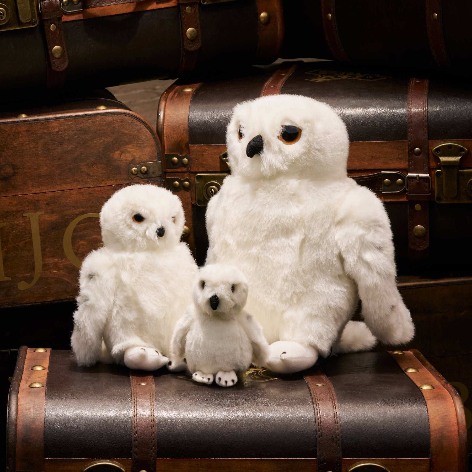 Hedwig Soft Toys