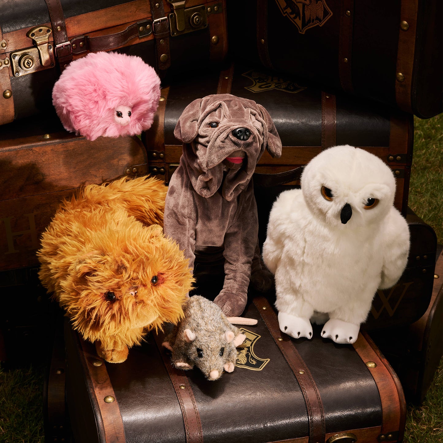 Character Soft Toys