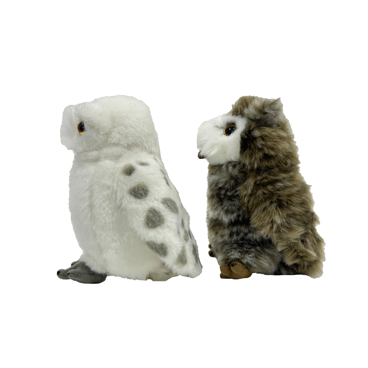 Hedwig and Pigwidgeon Plush Set