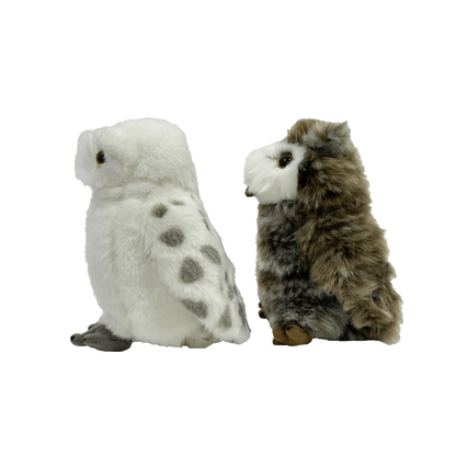 Hedwig and Pigwidgeon Plush Set