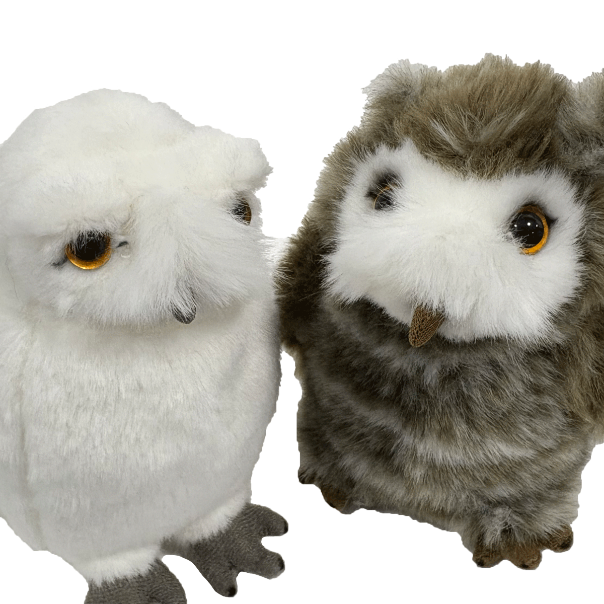 Hedwig and Pigwidgeon Plush Set