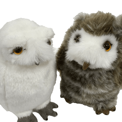 Hedwig and Pigwidgeon Plush Set