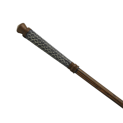 Vicencia Santos's Wand