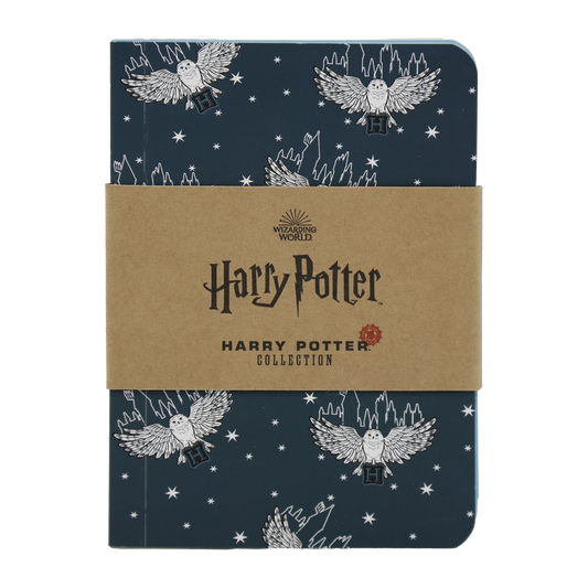 Magical Hogwarts Notebook Set