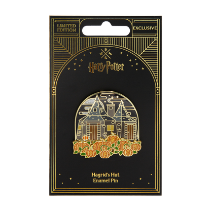 Hagrid's Hut Pin