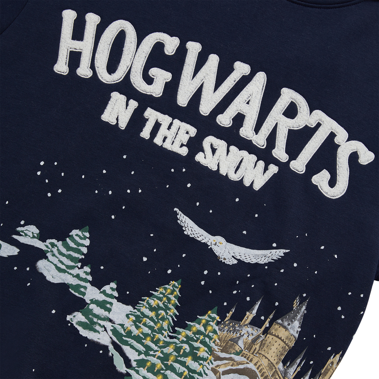 Hogwarts in the Snow Hoodie