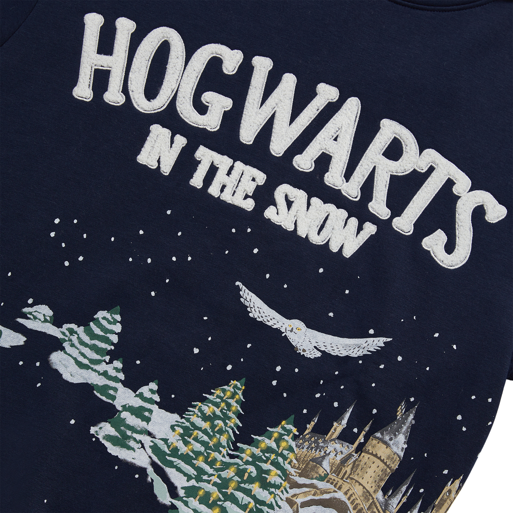 Hogwarts in the Snow Hoodie