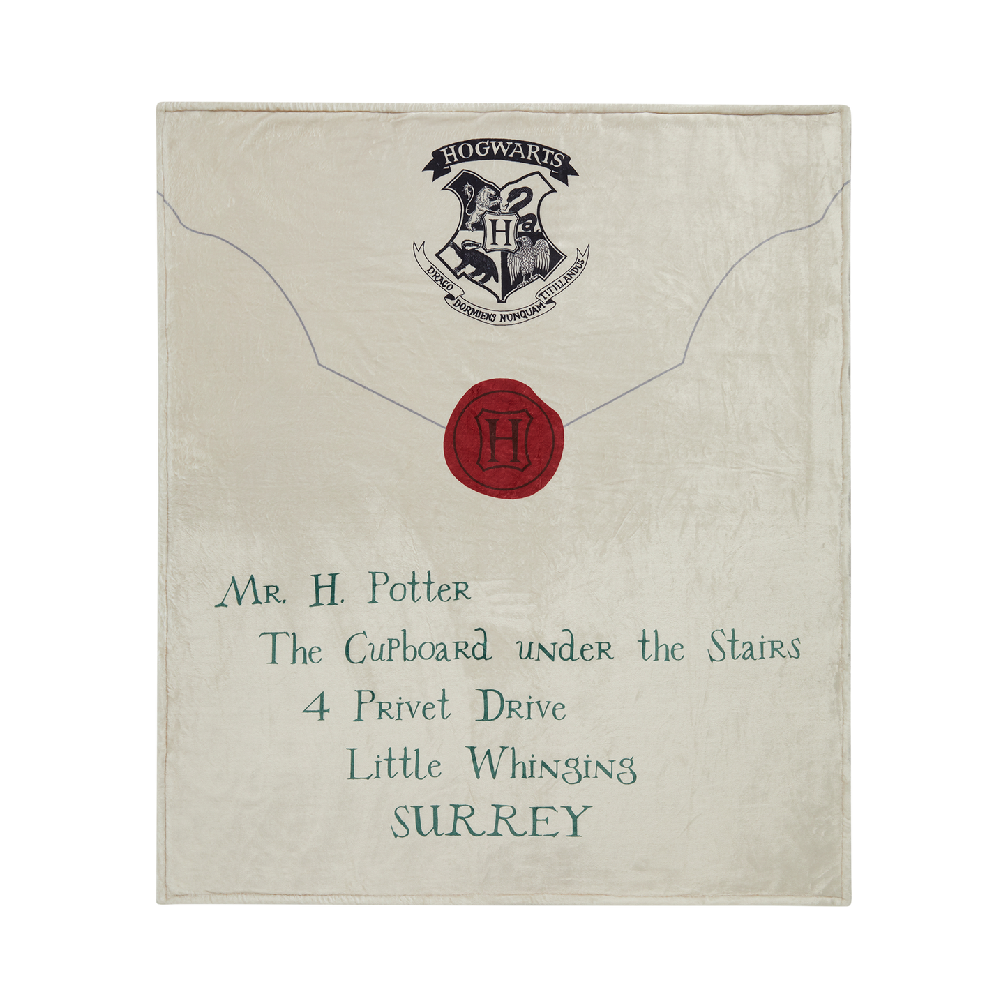 Acceptance Letter Throw Blanket