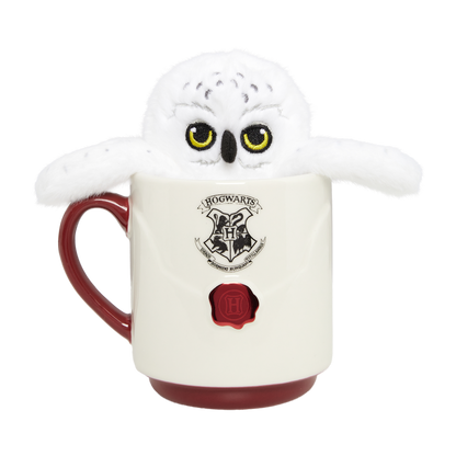 Acceptance Letter Mug & Plush Gift Set