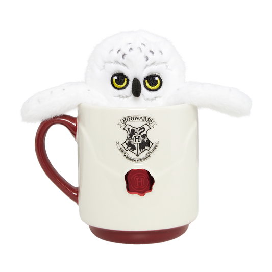 Acceptance Letter Mug & Plush Gift Set