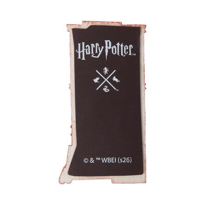 Quality Quidditch Supplies Magnet