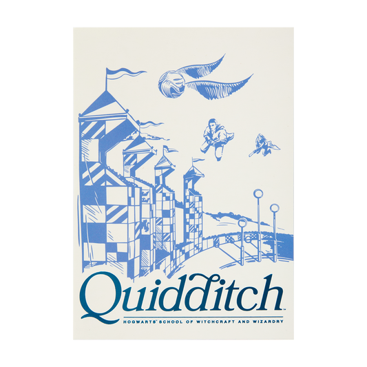 Quidditch Foiled Postcard