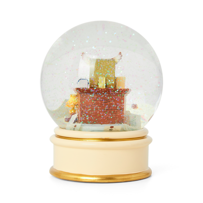 Acceptance Letter Snow Globe