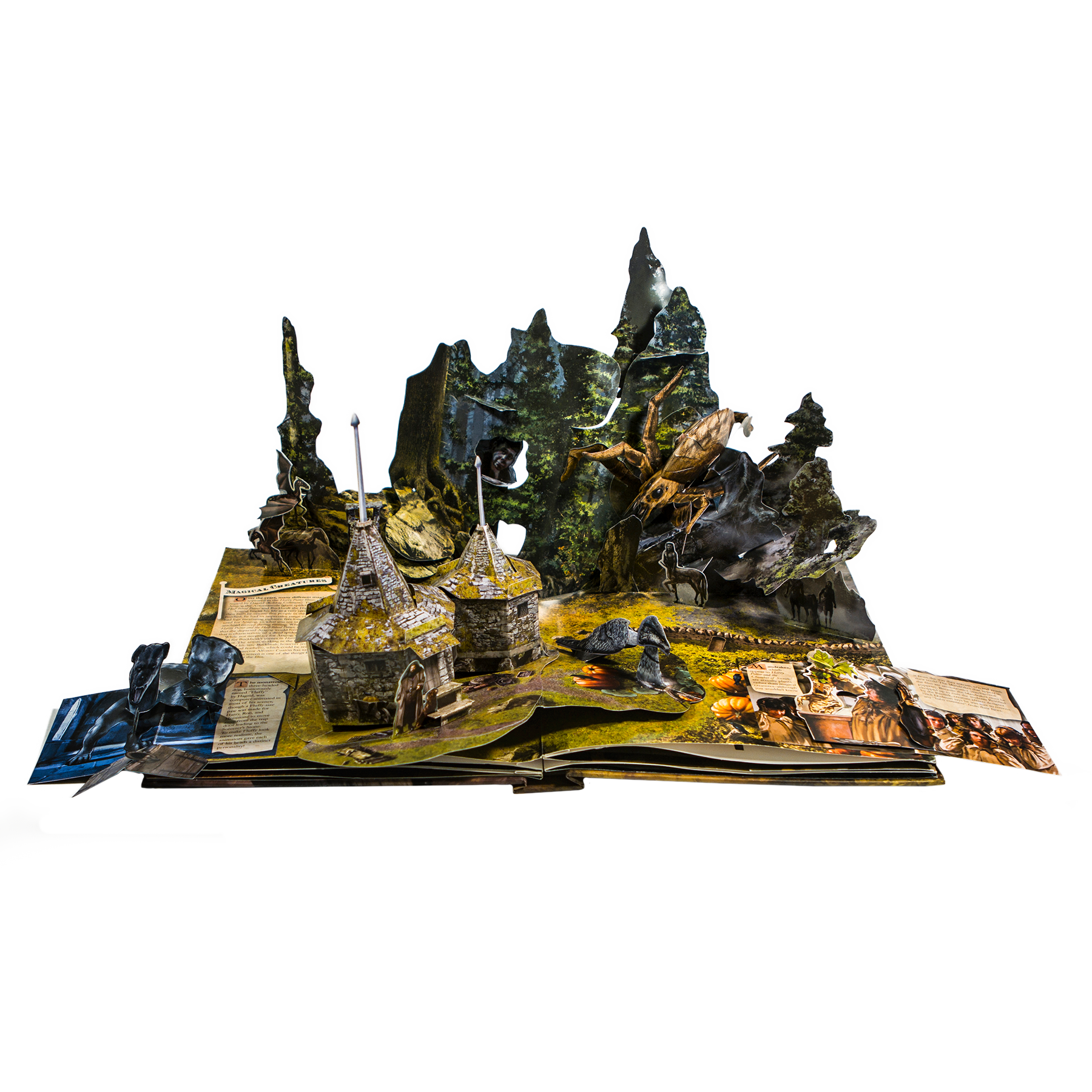 Harry Potter: A Pop-Up Book