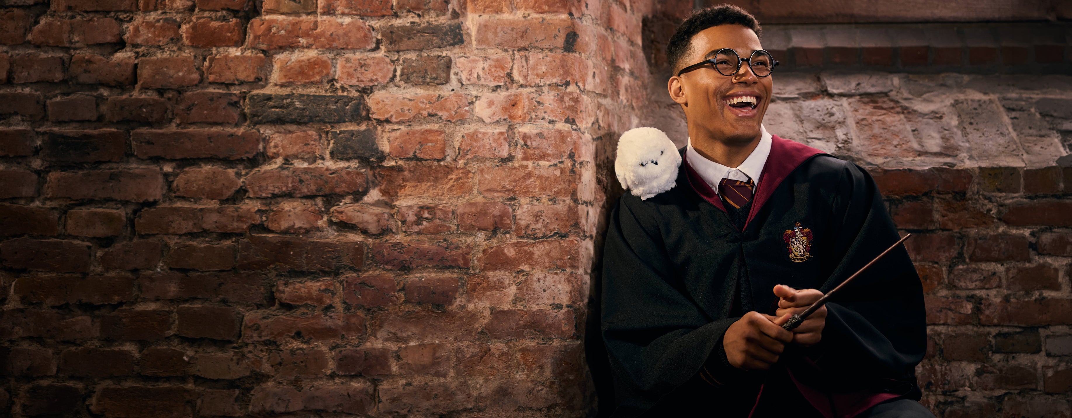 A young man wearing glasses, a black wizard robe, and a red tie leans against a rustic brick wall, holding a wand and smiling. A white owl is perched on his shoulder.