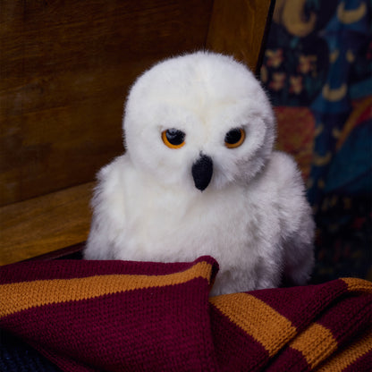 Harry Potter Gift Trunk