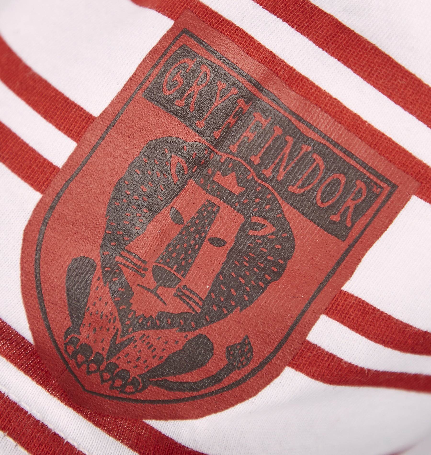 Kids Gryffindor Striped T-Shirt