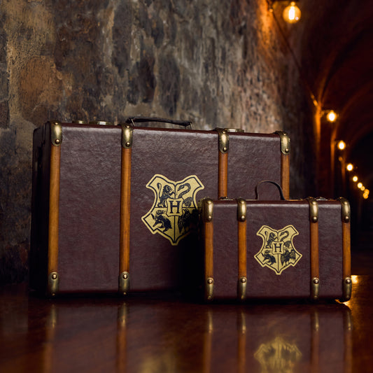 Hogwarts School Trunk Replica Combo
