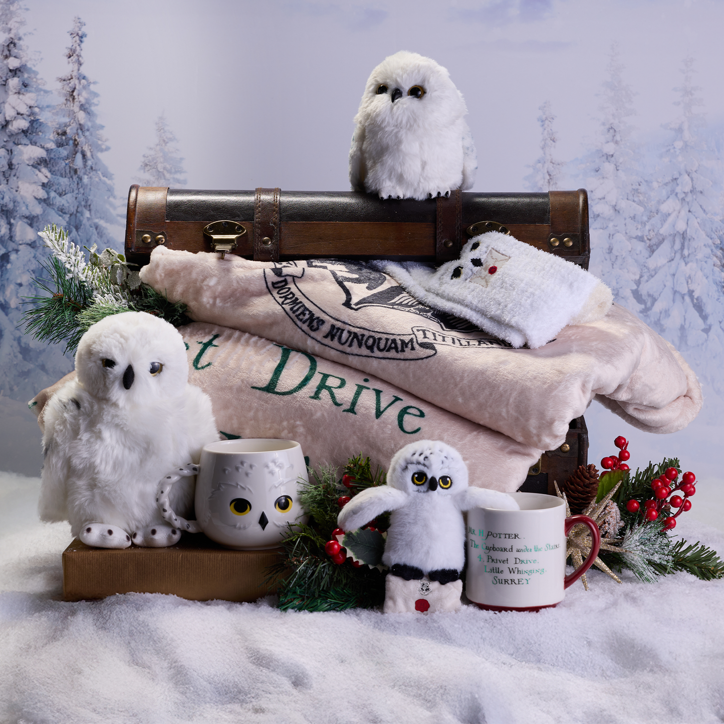 Acceptance Letter Throw Blanket, Hedwig Cozy Socks, Acceptance Letter Mug & Plush Gift Set, Hedwig Cozy Mug