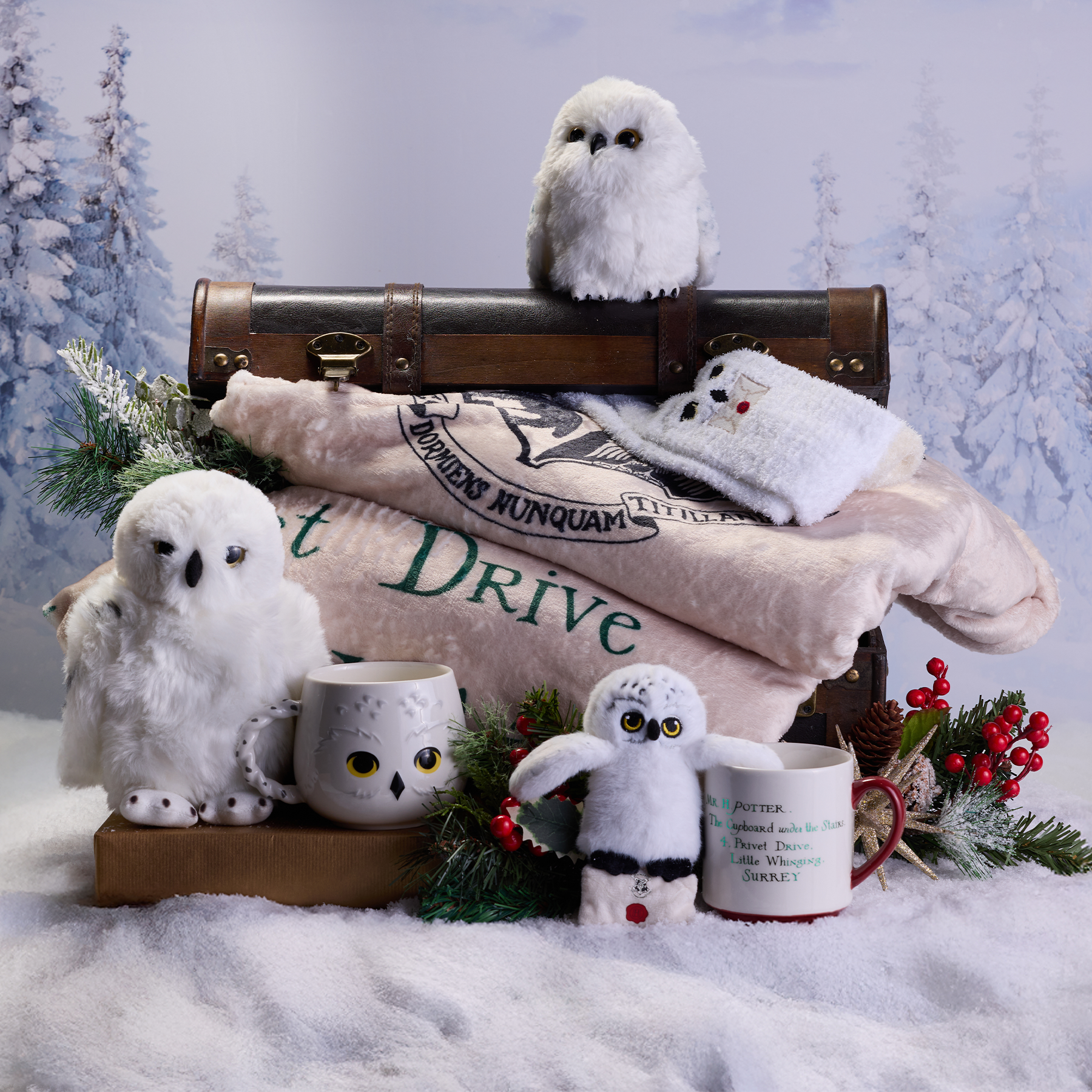 Acceptance Letter Throw Blanket, Hedwig Cozy Socks, Acceptance Letter Mug & Plush Gift Set, Hedwig Cozy Mug