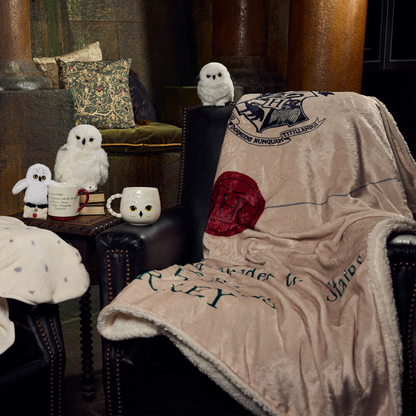 Acceptance Letter Throw Blanket