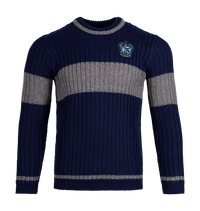 Ravenclaw Quidditch Sweater