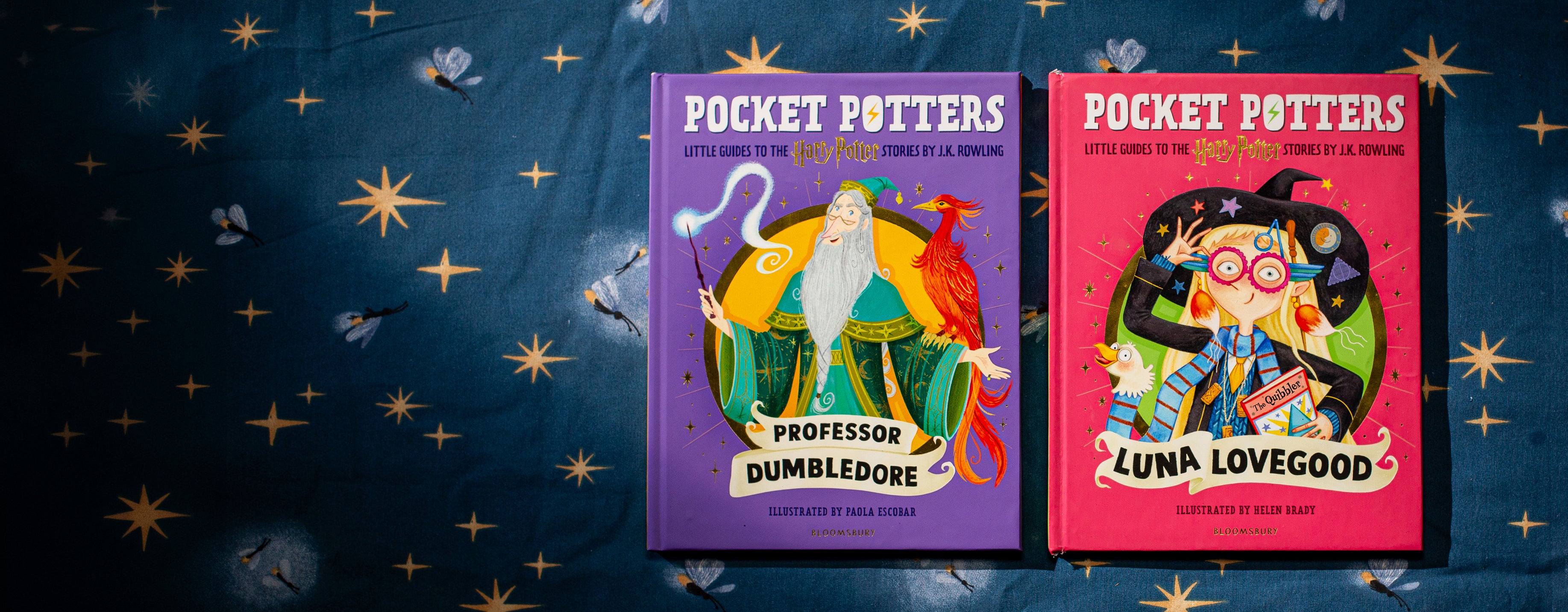 Two colorful books titled 'Pocket Potters' featuring Professor Dumbledore and Luna Lovegood on a starry background.