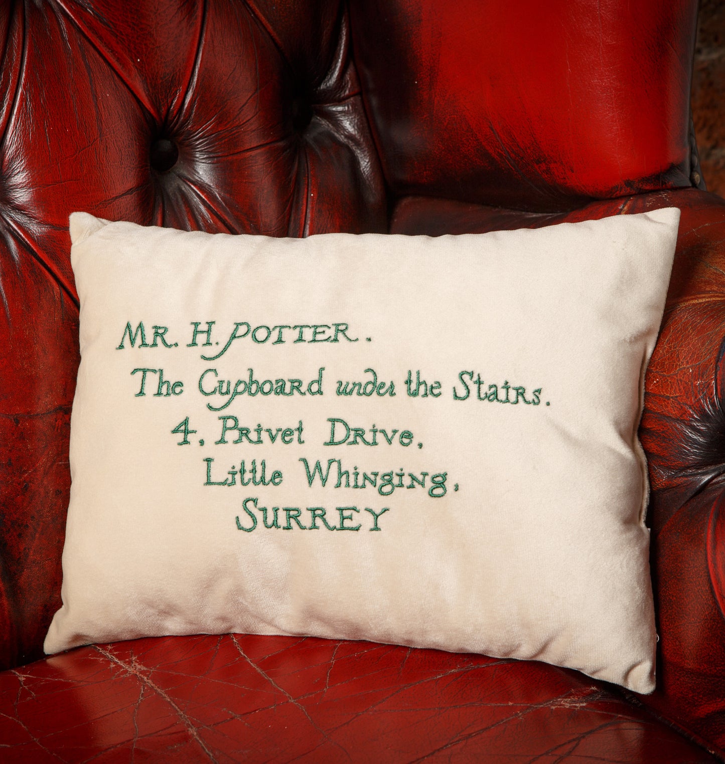 Acceptance Letter Cushion