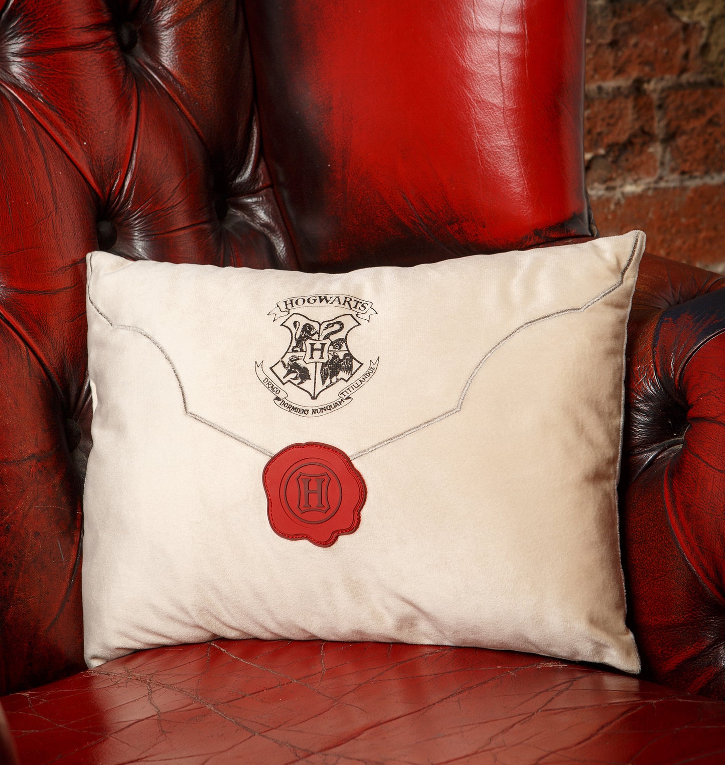 Acceptance Letter Cushion