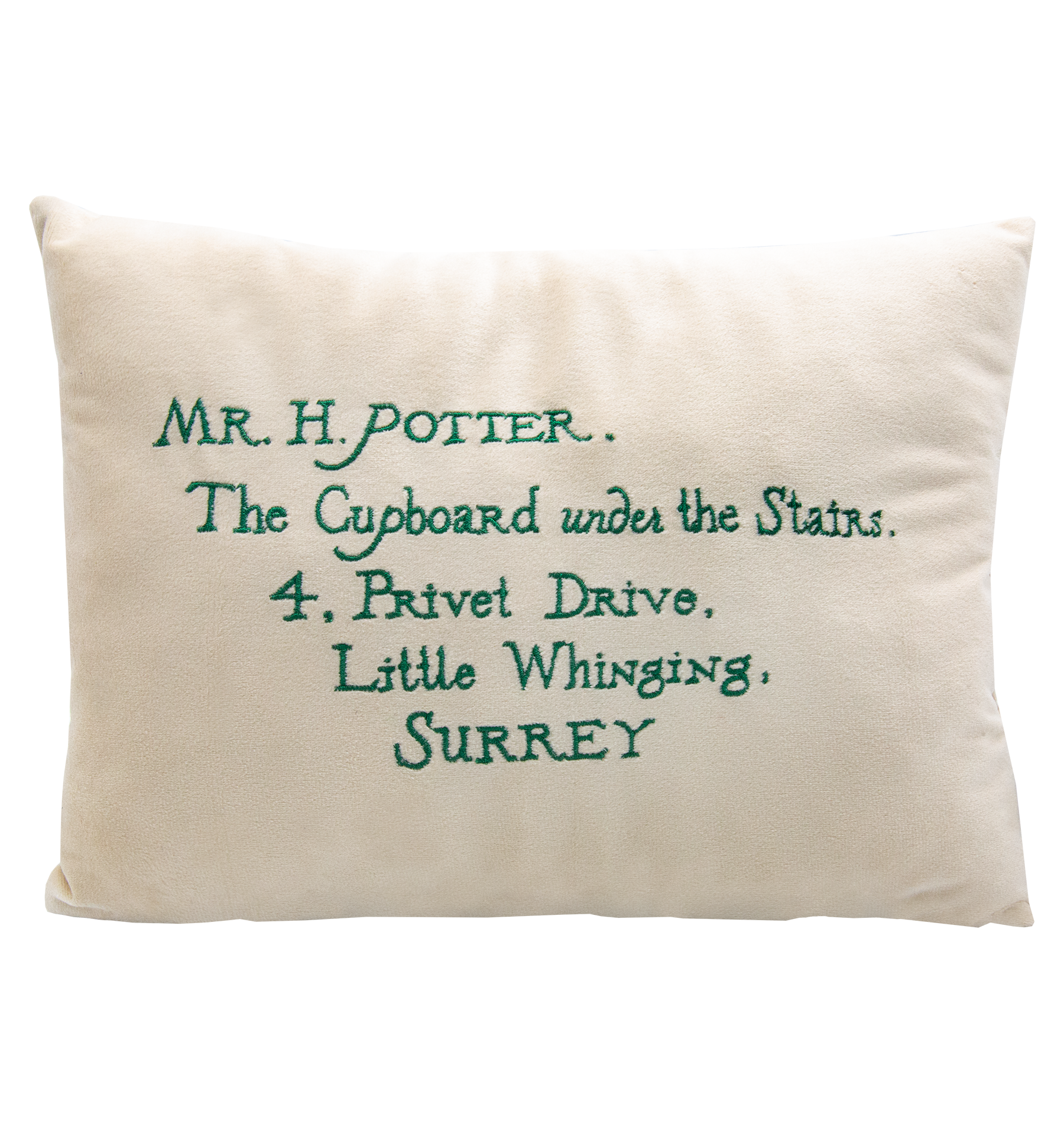 Acceptance Letter Cushion