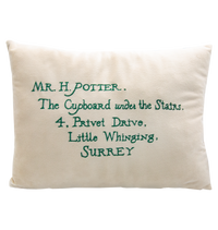 Acceptance Letter Cushion