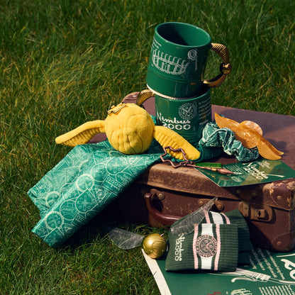 Nimbus 2000 mug with text, Golden Snitch plush, and various Quidditch accessories on grass