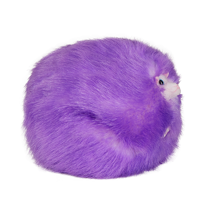 Purple Pygmy Puff Plush with Sound