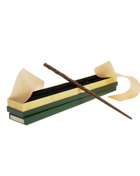 Hermione Granger's Wand