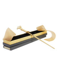 Lord Voldemort's Wand